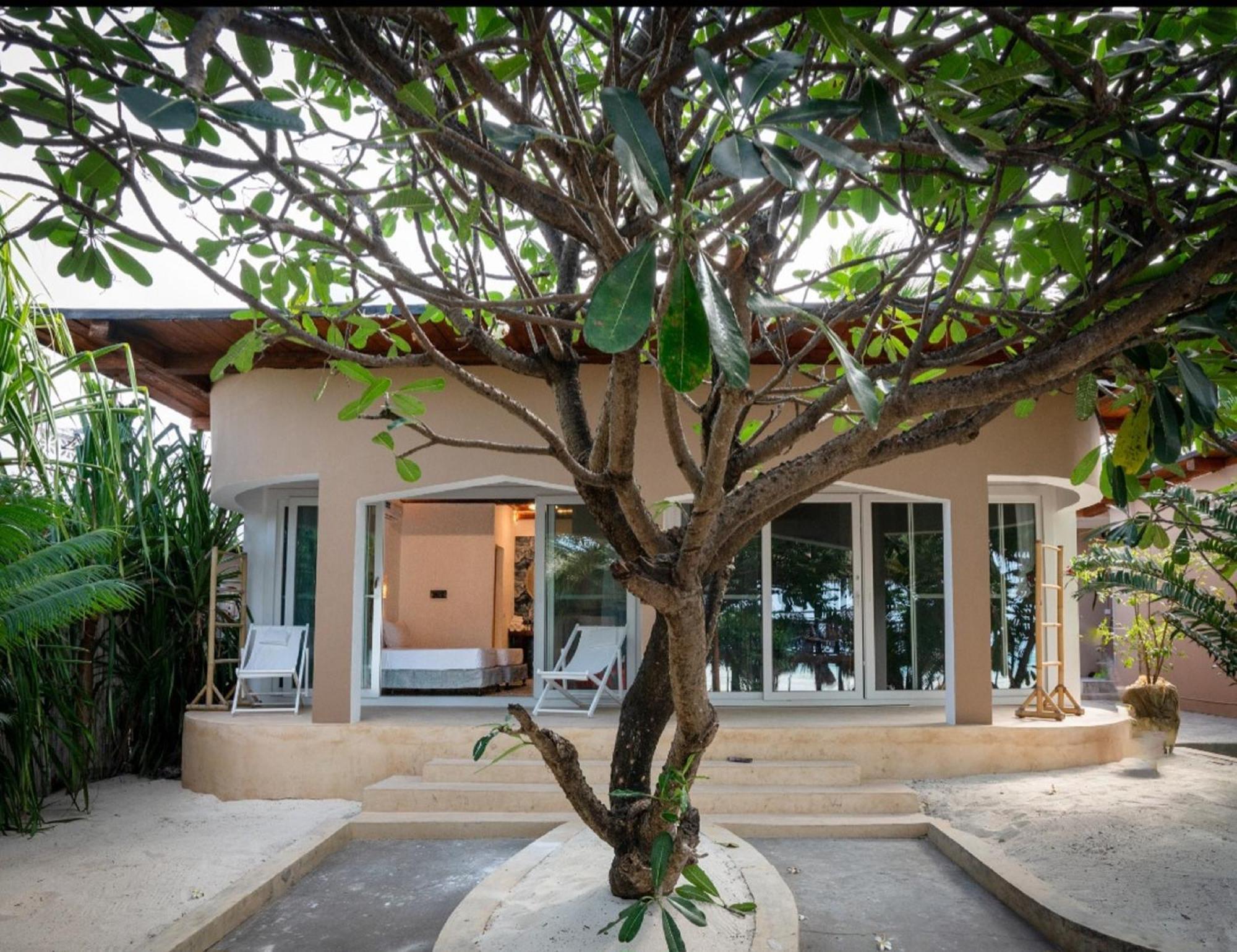 Coral Rocks Hotel & Restaurant Jambiani  Exterior photo